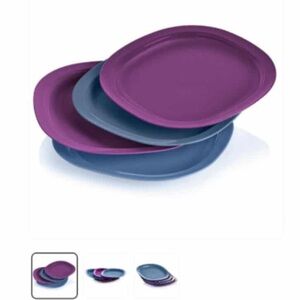 Tupperware Vibrant Purple and Blue dinner Plates